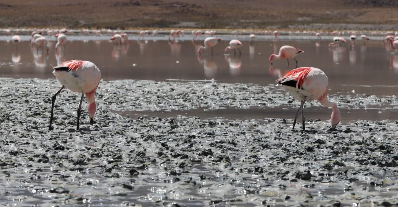 3-Day Private Tours in Uyuni 